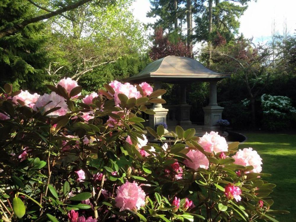 English Inn Esquimalt Экстерьер фото